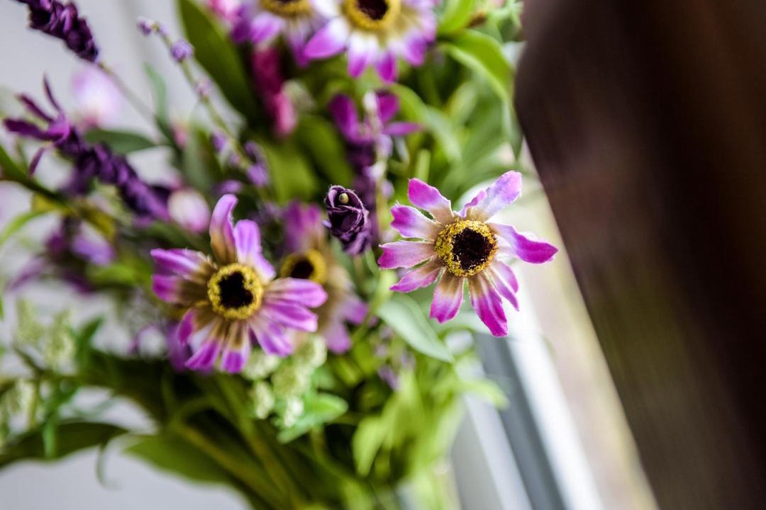 Photo of Others in Par