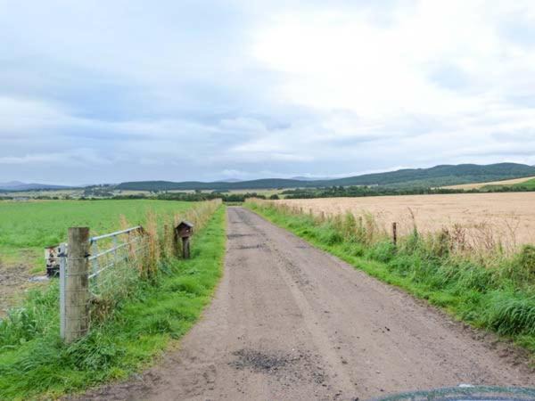 Photo of Others in Carrbridge