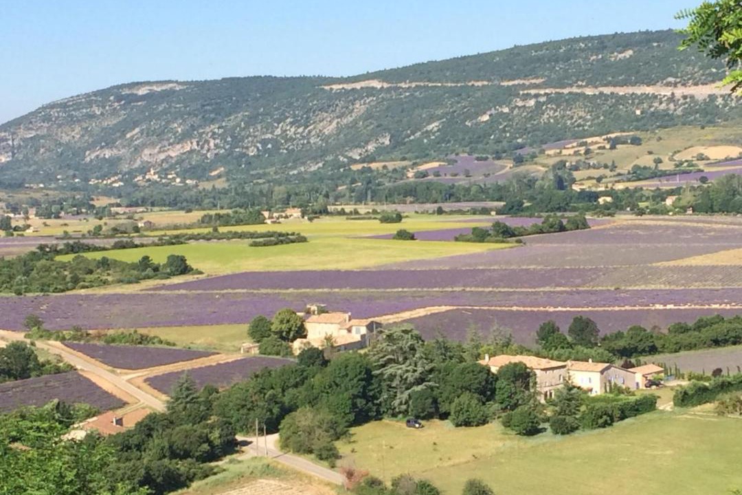 Photo of Others in Sault