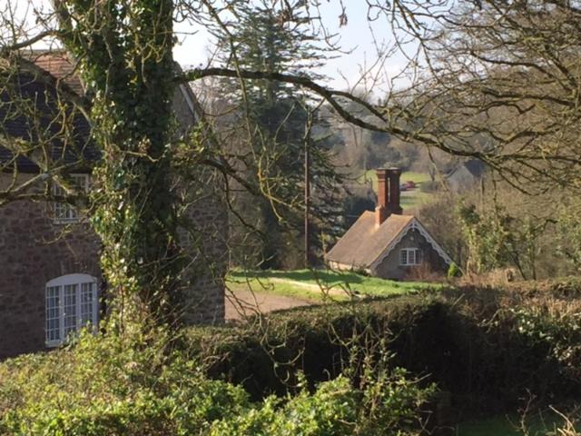 Photo of Others in Melbury Osmond