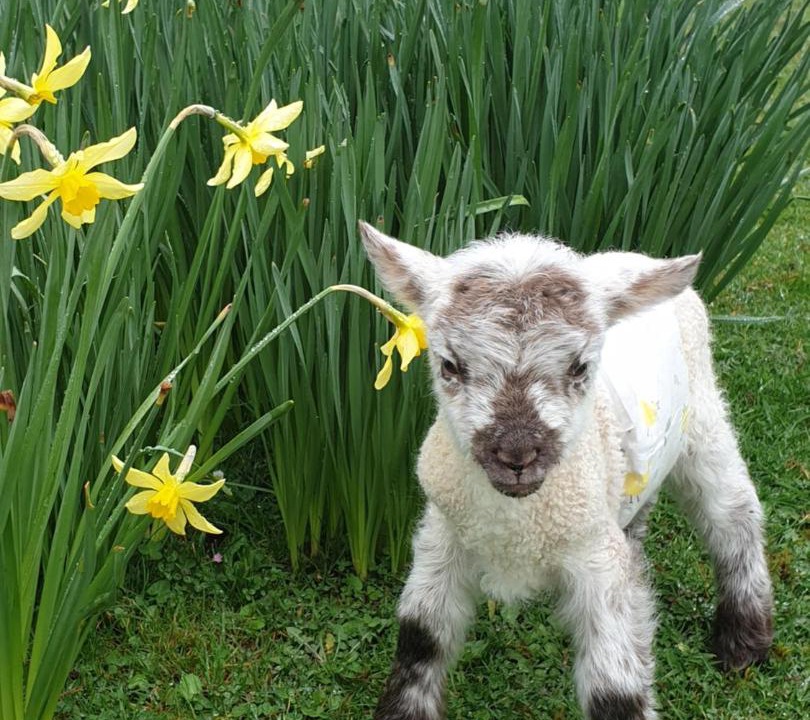 Photo of Others in Redlynch