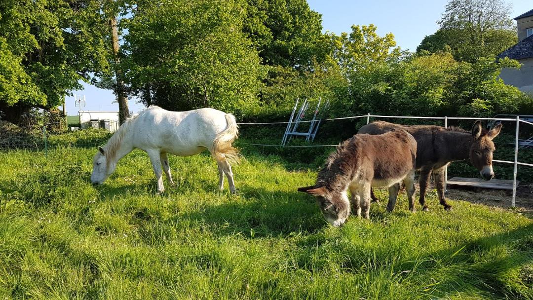 Photo of Others in Livry