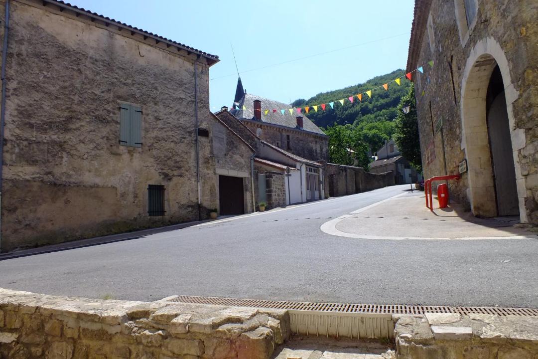 Photo of Others in Cornus