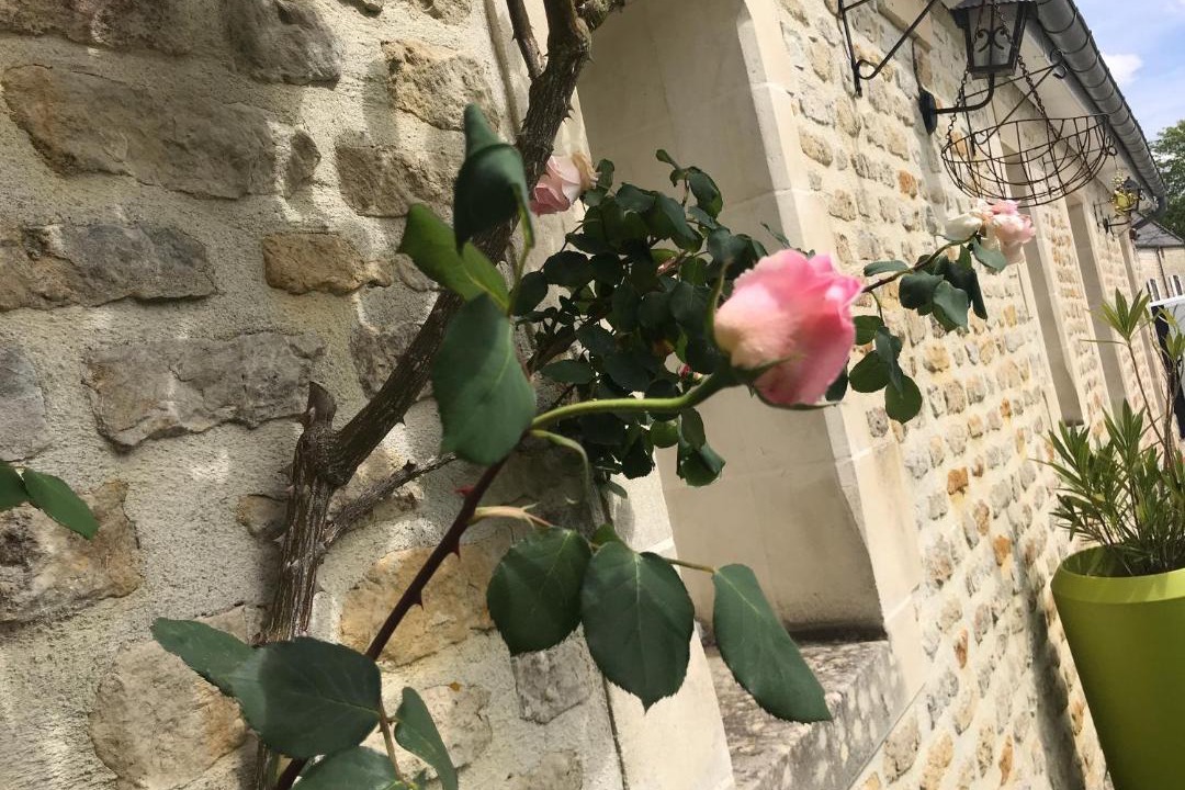 Photo of Others in Nonant