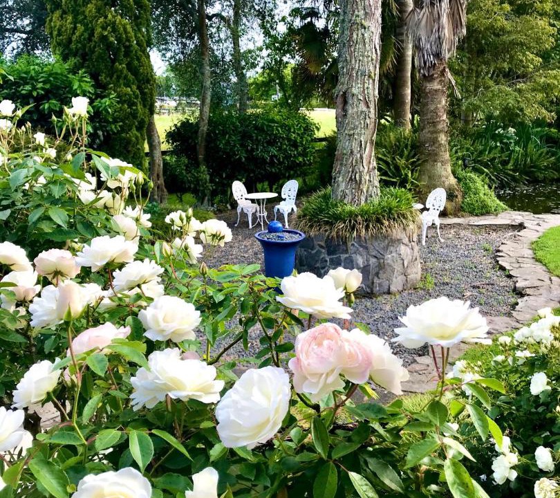 Photo of Others in Cambridge