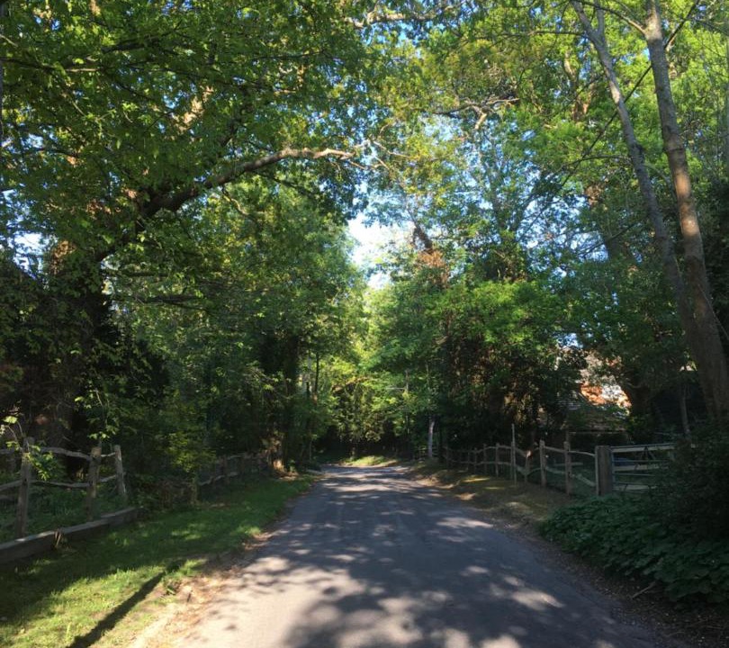 Photo of Others in Barns Green