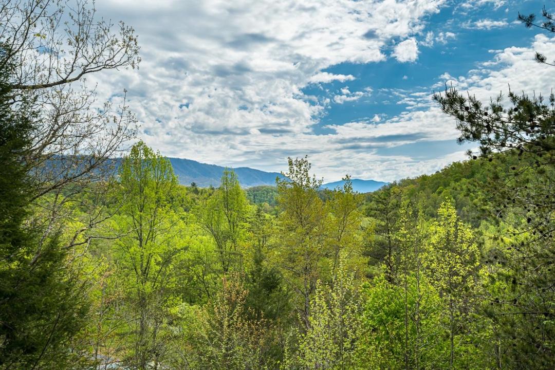Photo of Outdoor in Cosby