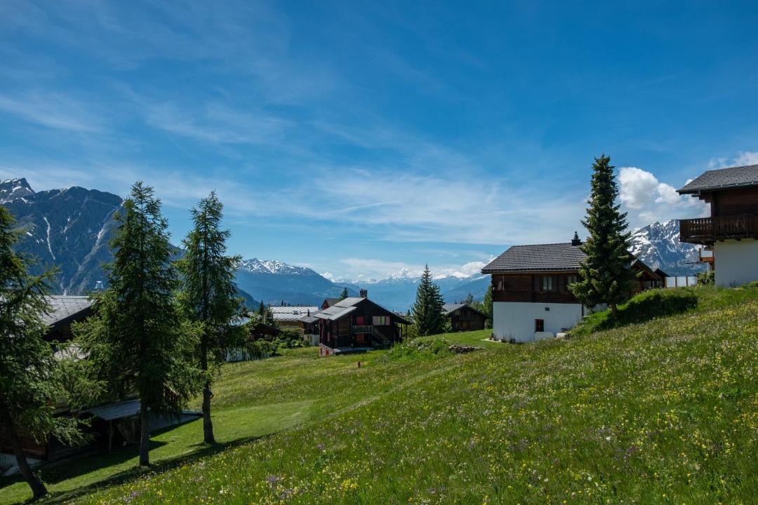 Photo of Others in Rosswald