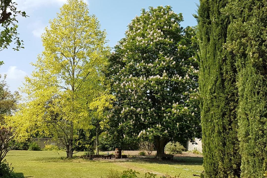 Photo of Outdoor in Francueil