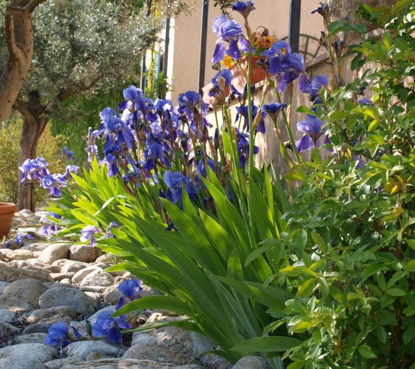 Photo of Patio Balcony in Ansouis