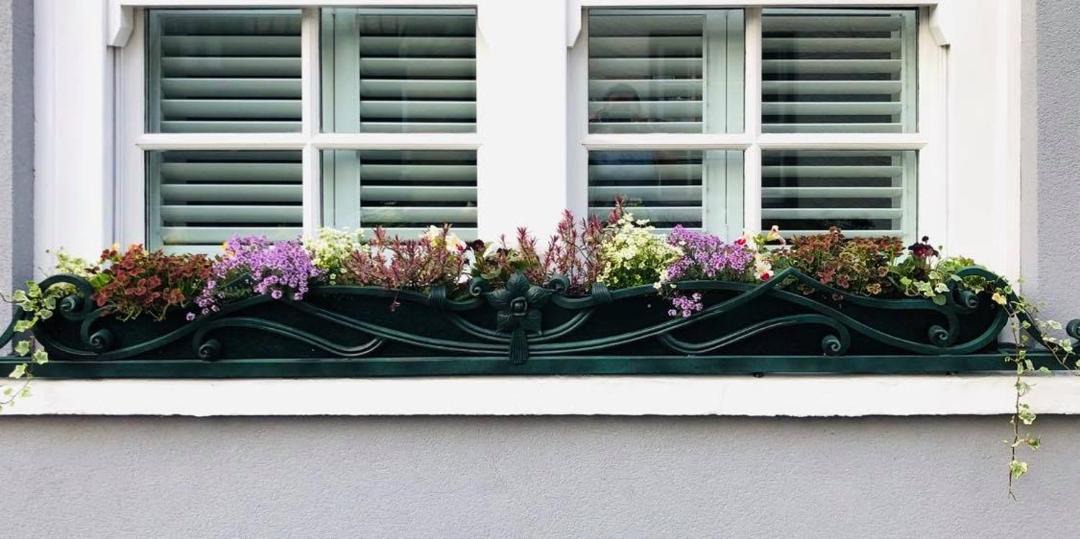 Photo of Others in Wells