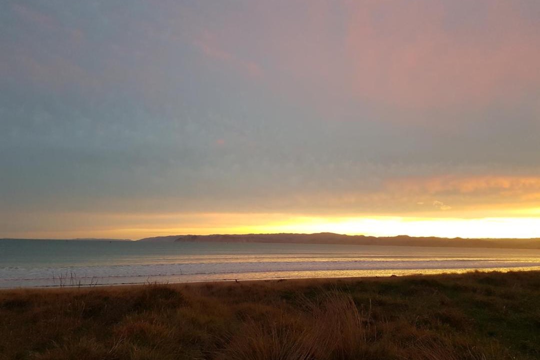 Photo of Others in Gisborne