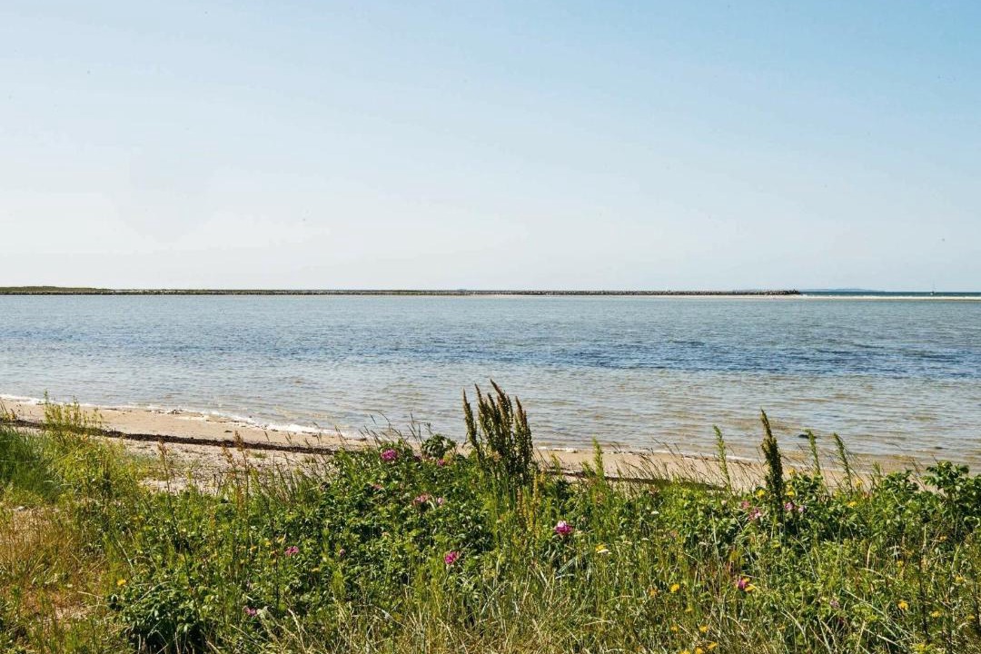 Photo of Others in Øer Strand