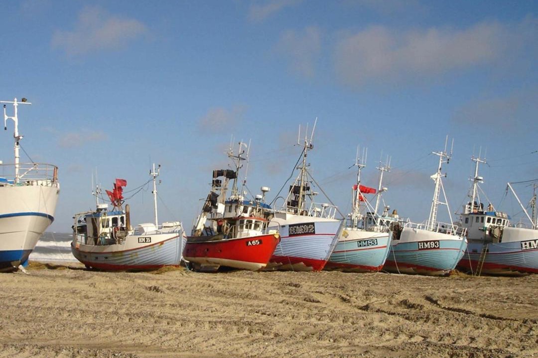 Photo of Others in Torup Strand