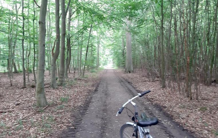 Photo of Others in Lohals