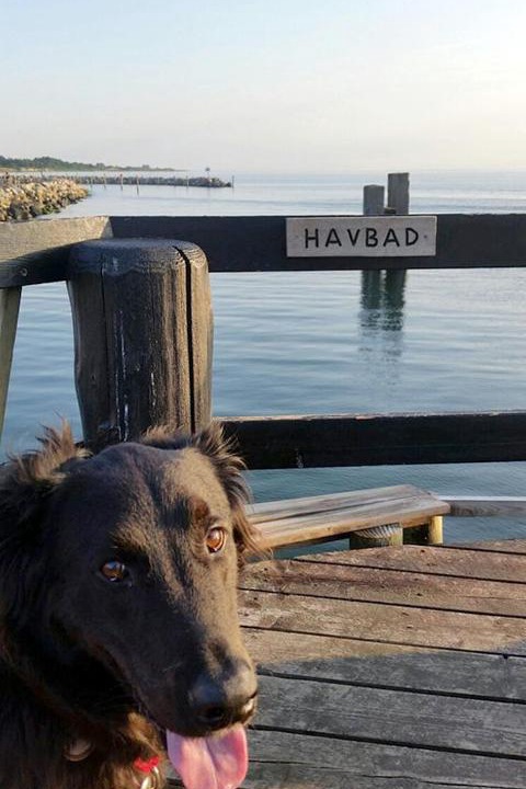 Photo of Others in Lohals