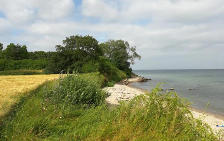 Photo of Outdoor in Lohals