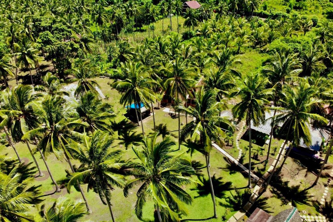 Photo of Outdoor in Selayar Islands