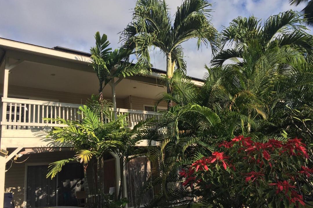 Photo of Others in Kahaluu Bay