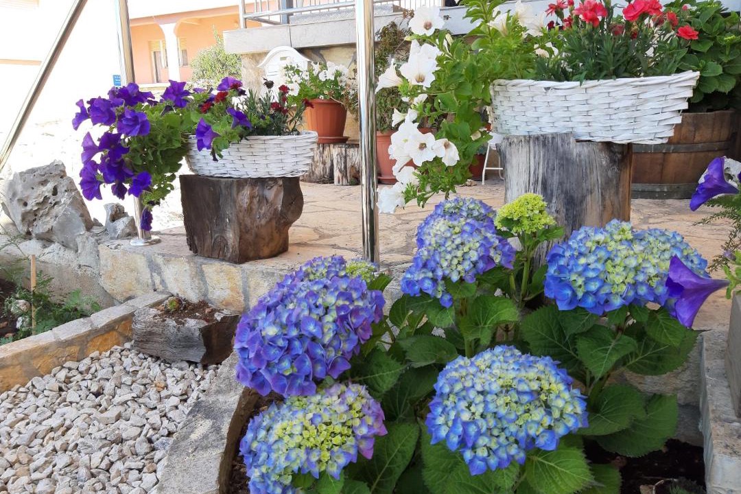Photo of Others in Okrug Gornji