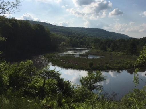 Photo of Outdoor in Cooperstown