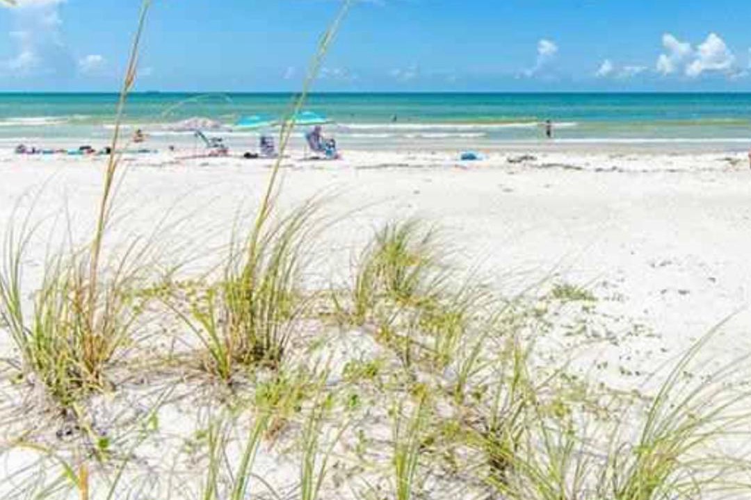 Photo of Others in Indian Rocks Beach