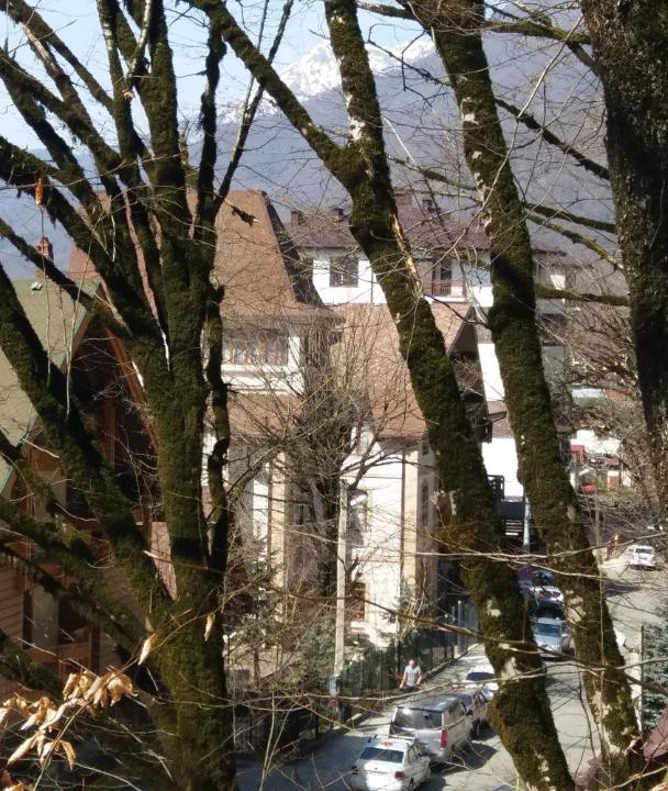 Photo of Others in Estosadok