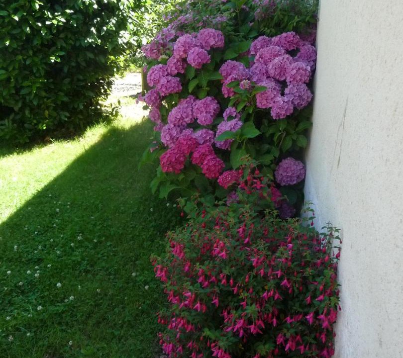 Photo of Others in Bazouges-sur-le-Loir