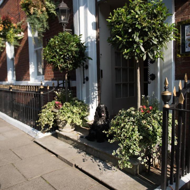 Photo of Others in Sherborne