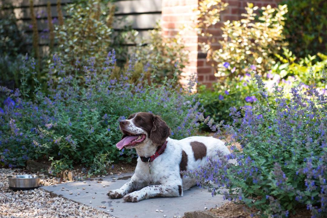Photo of Outdoor in Sherborne