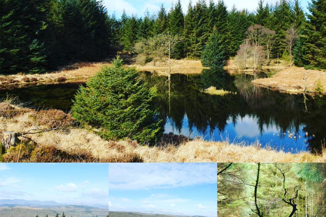 Photo of Others in Ulverston