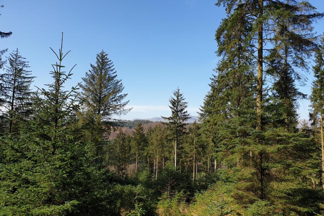 Photo of Others in Ulverston