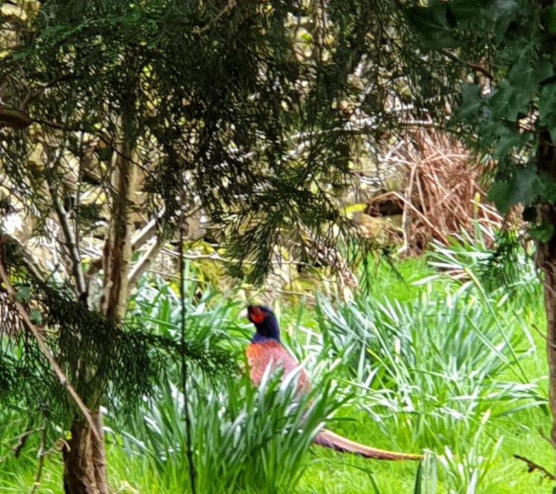 Photo of Others in Ulverston