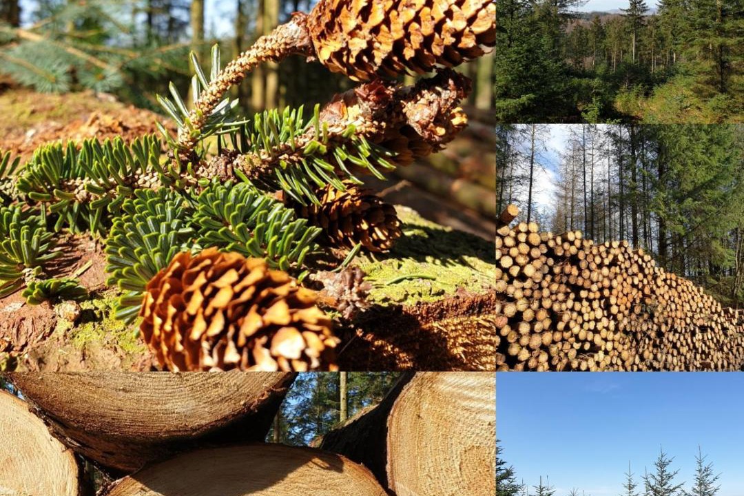 Photo of Others in Ulverston