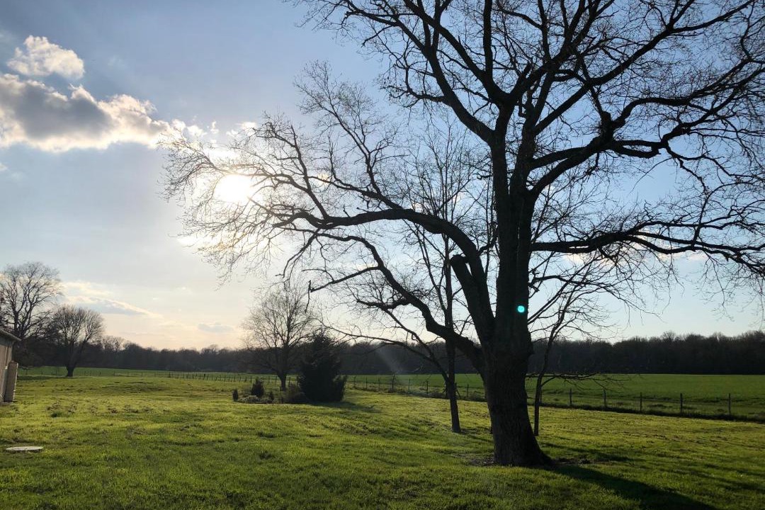 Photo of Others in Sambin