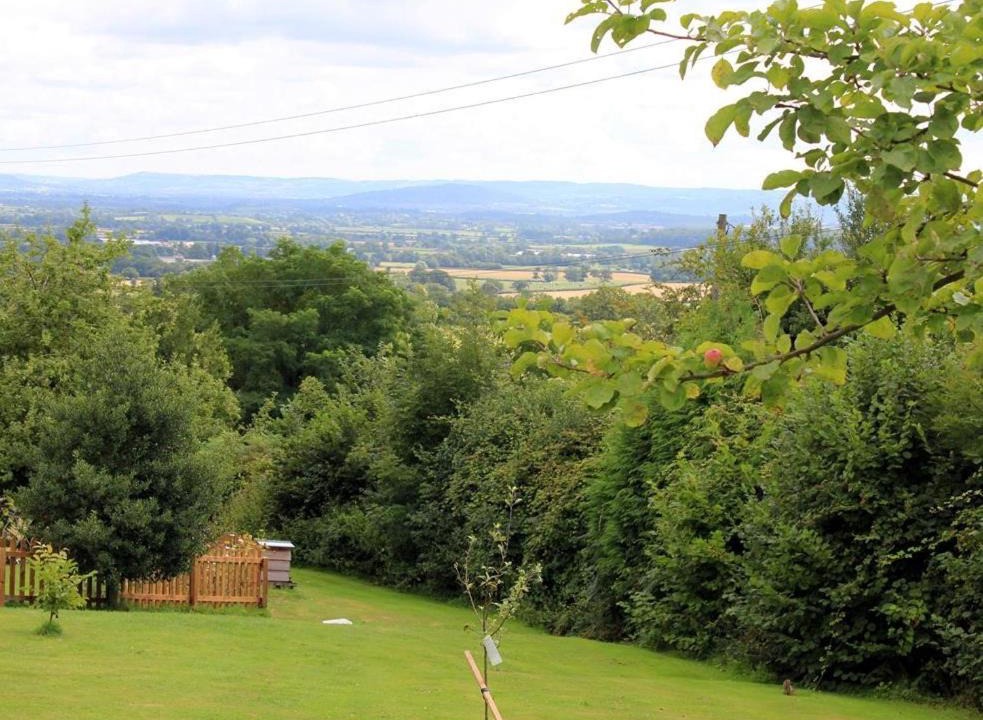 Photo of Others in Flaxley