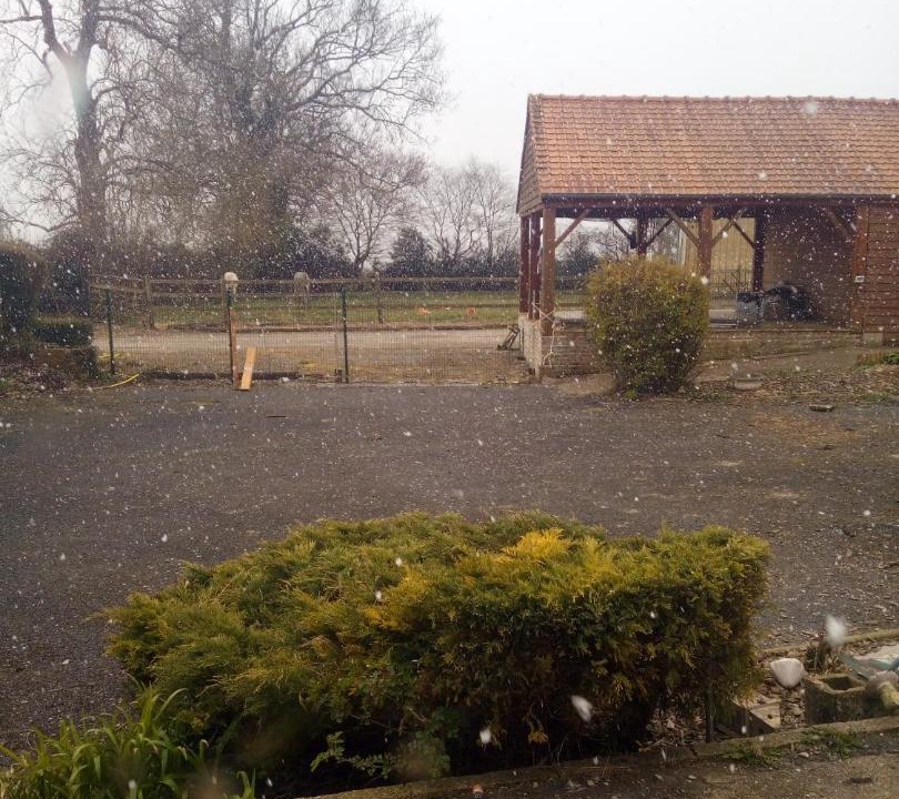 Photo of Others in Clety