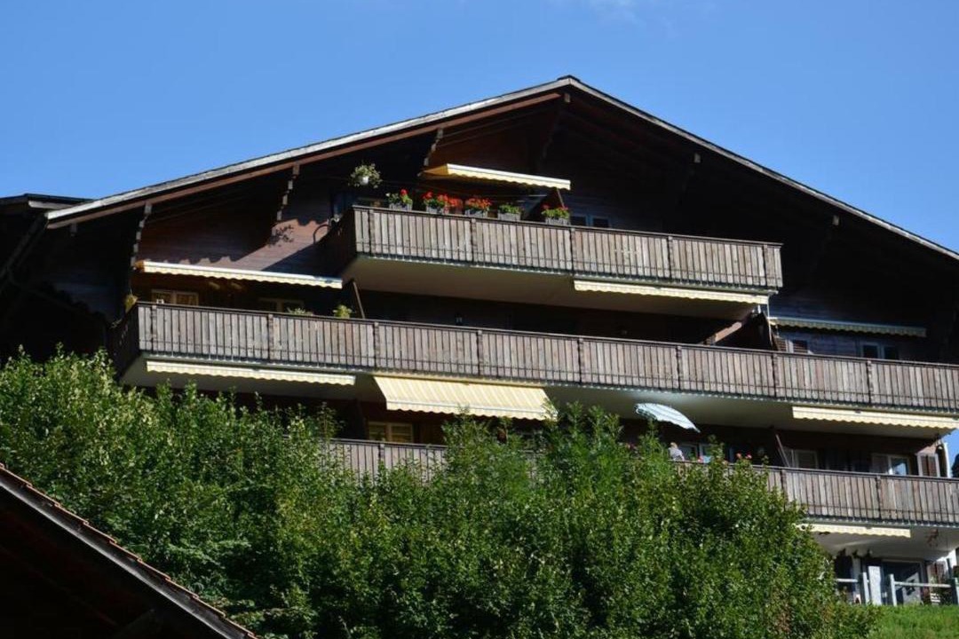 Photo of Others in Zweisimmen