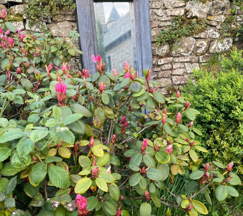 Photo of Others in Saint-Patrice-de-Claids