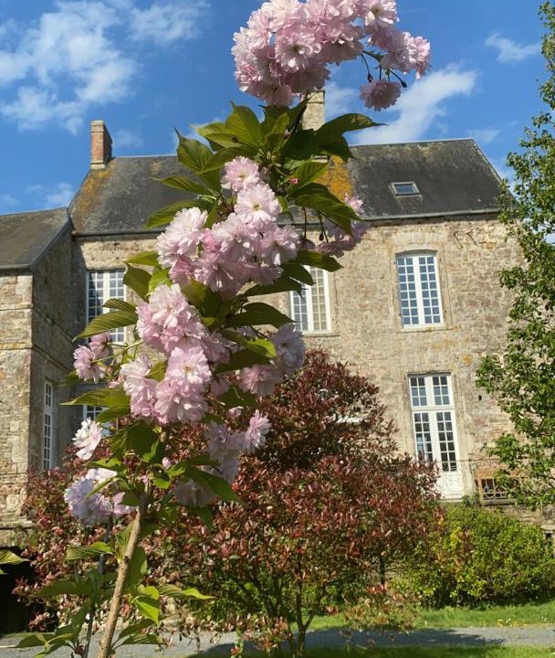 Photo of Others in Saint-Patrice-de-Claids