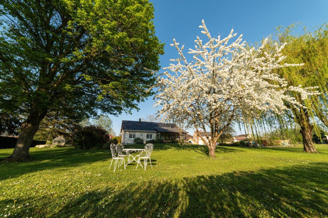 Photo of Others in Teloche