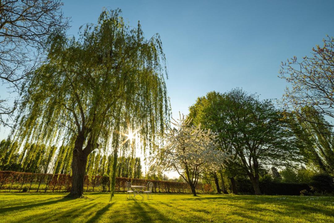 Photo of Others in Teloche