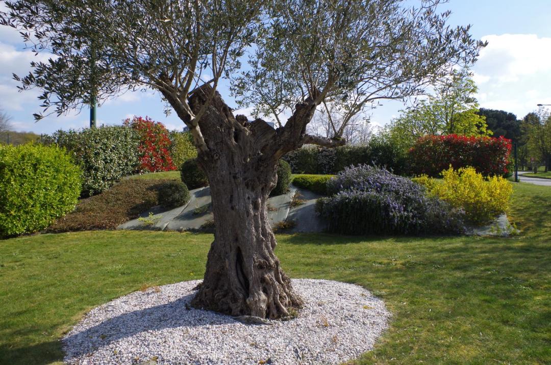 Photo of Outdoor in Crevin