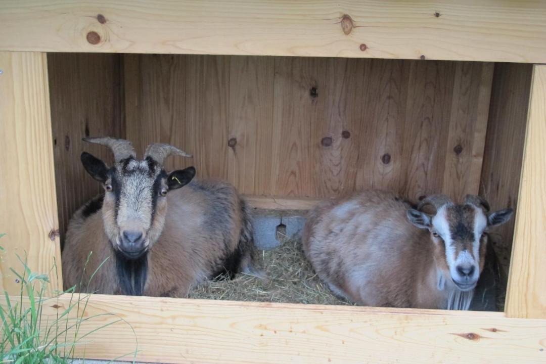 Photo of Others in Cheminas