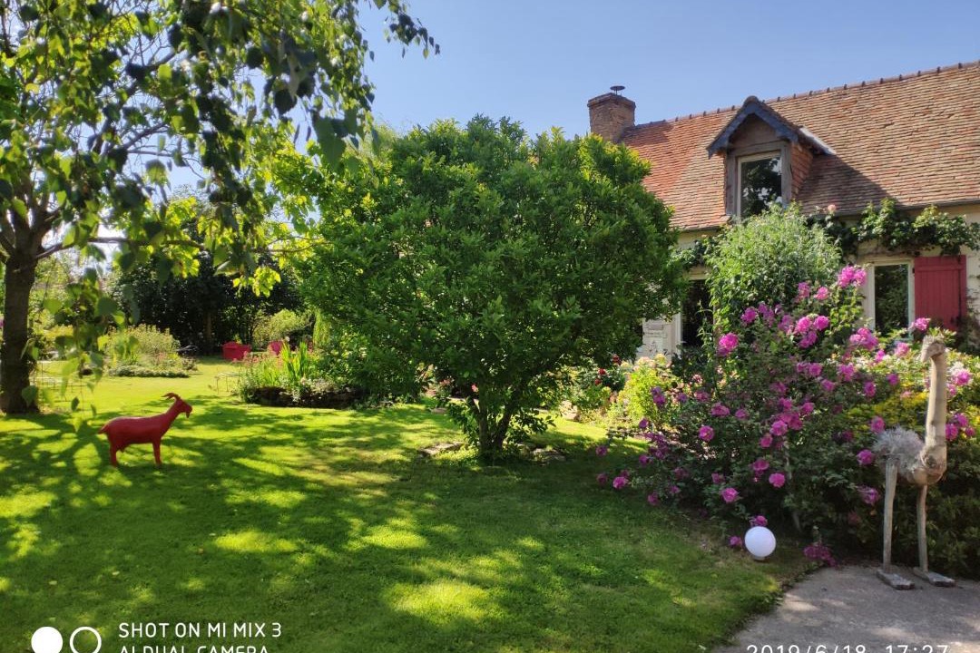 Photo of Others in Trange