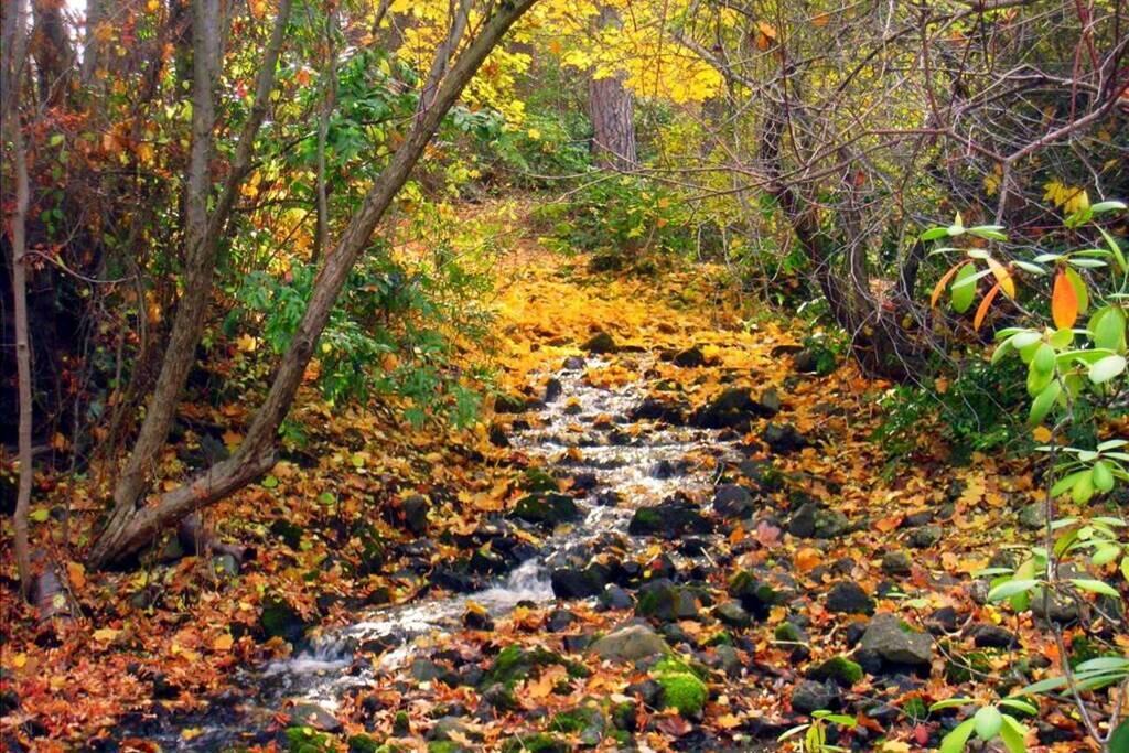 Photo of Outdoor in West Spokane