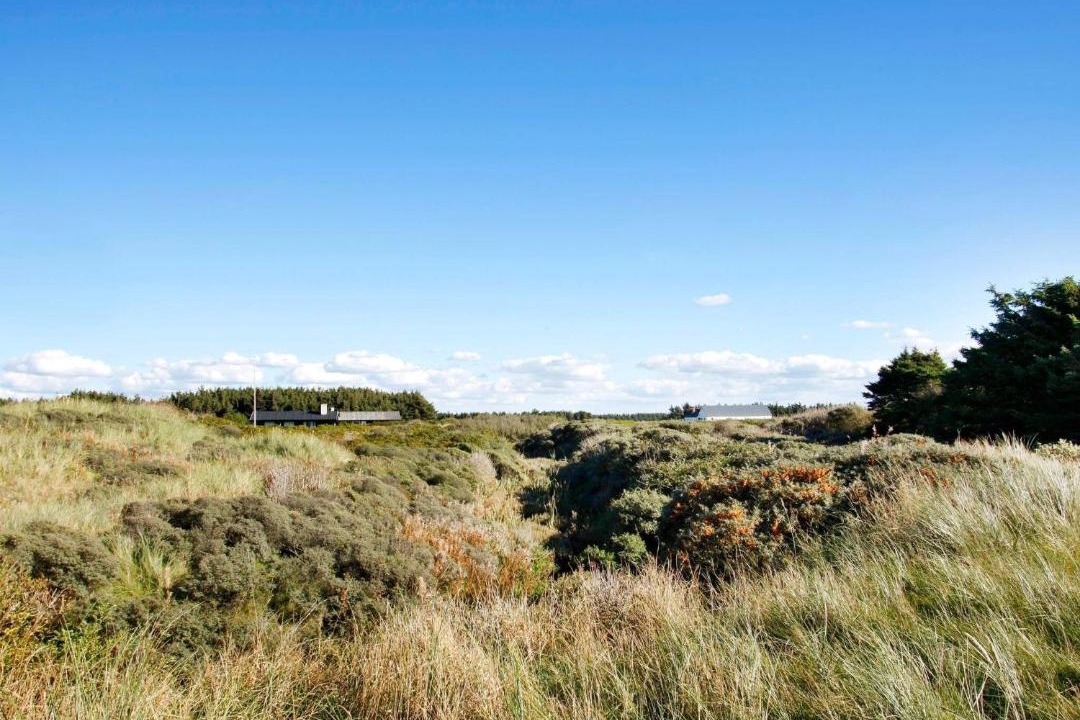 Photo of Outdoor in Hvorup Klit