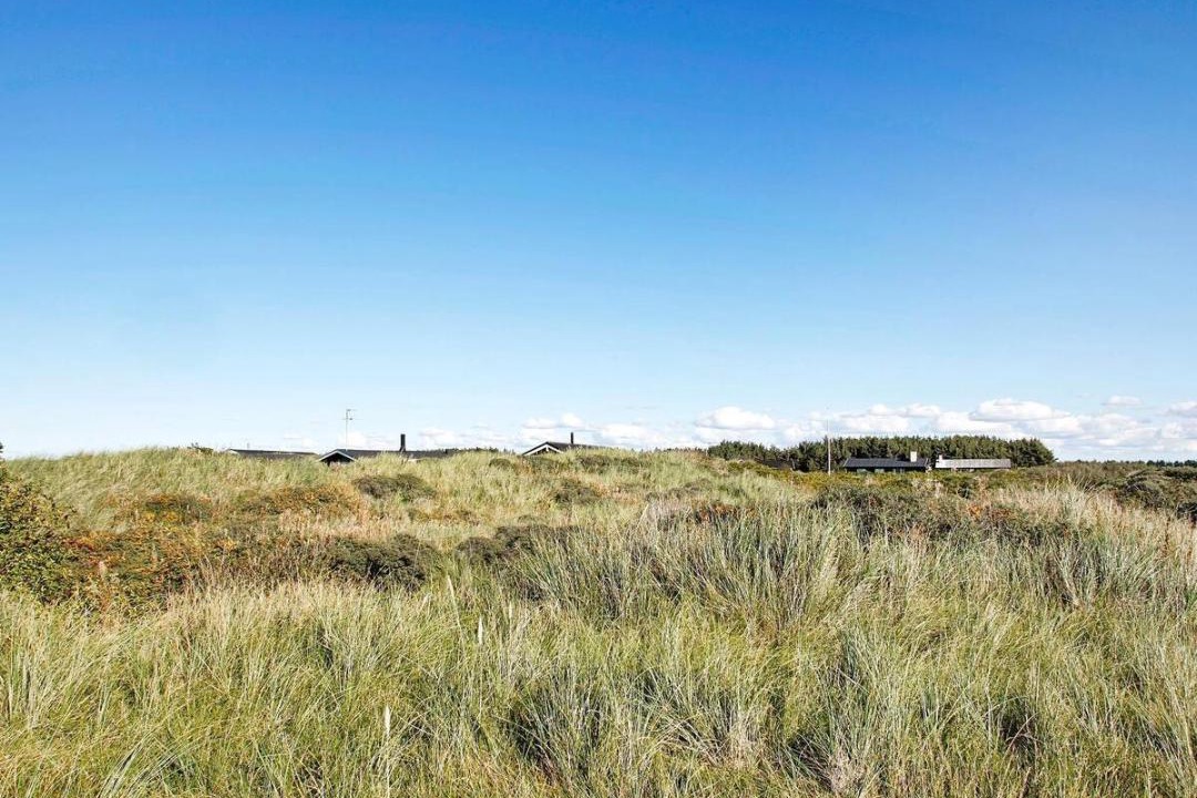 Photo of Outdoor in Hvorup Klit