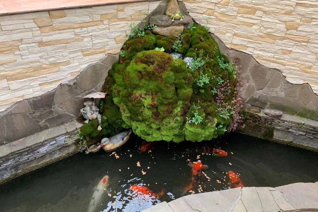 Photo of Others in Bytkha