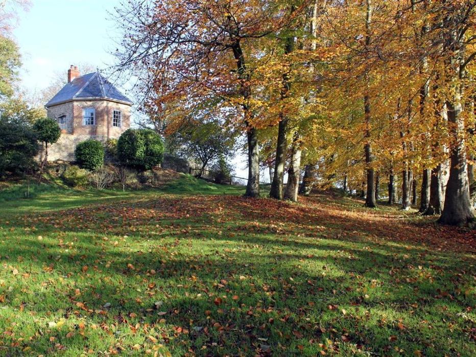 Photo of Others in Corton